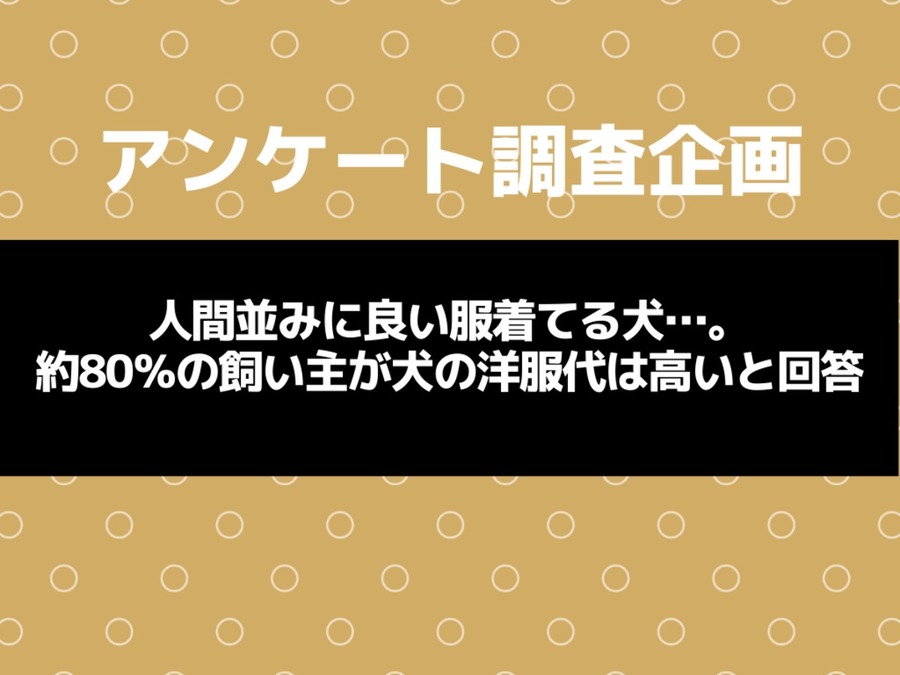 【獣医師監修】大型犬に多い股関節形成不全症について知っておこう｜原因・症状・診断方法から治療方法まで