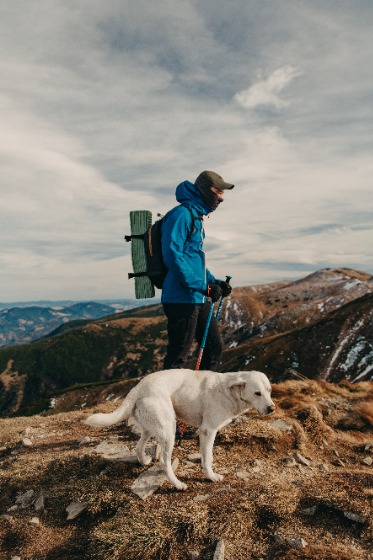 犬と登山