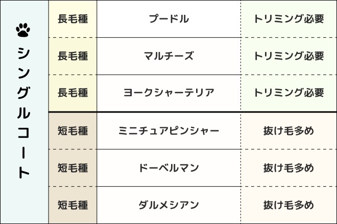 シングルコート　犬種