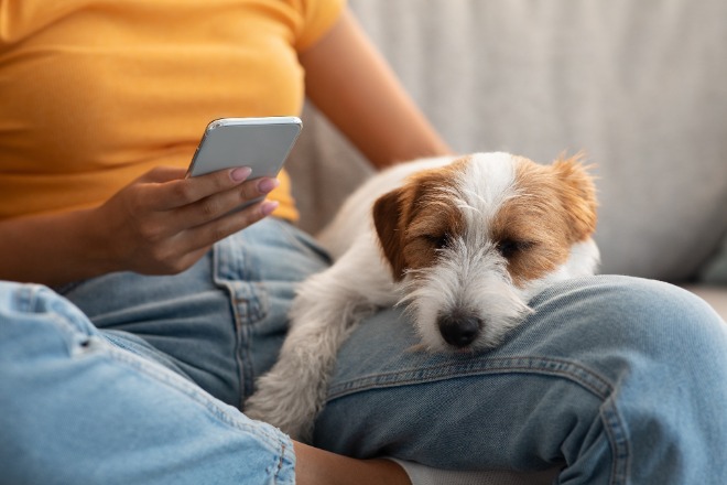 犬　飼い主の上で寝る