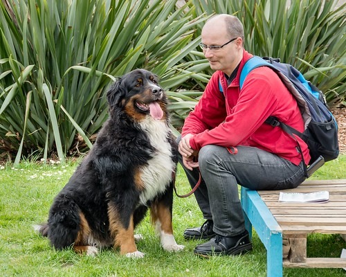 人間と犬