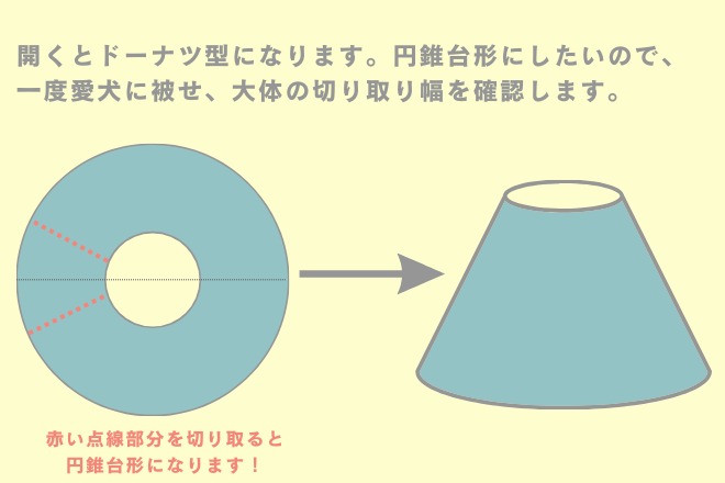 エリザベスカラー代用②