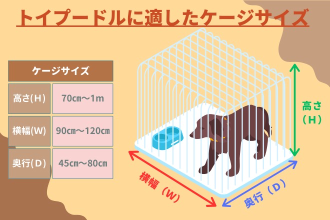 トイプードルに適したケージサイズ