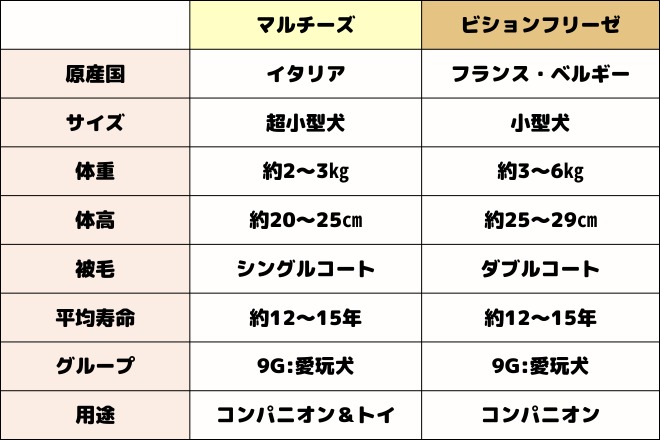 マルチーズ　ビションフリーゼ