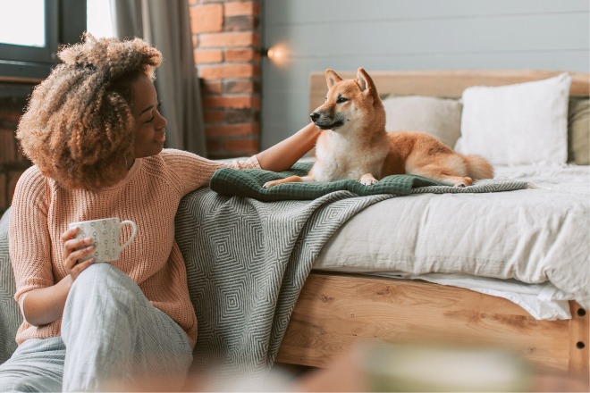 犬　撫でる