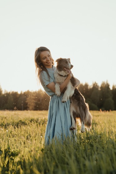 Basque Shepherd