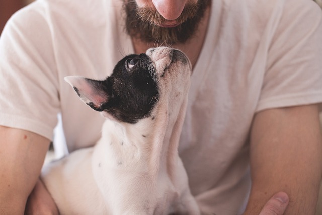 犬と人