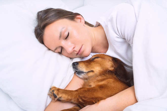 犬と寝る