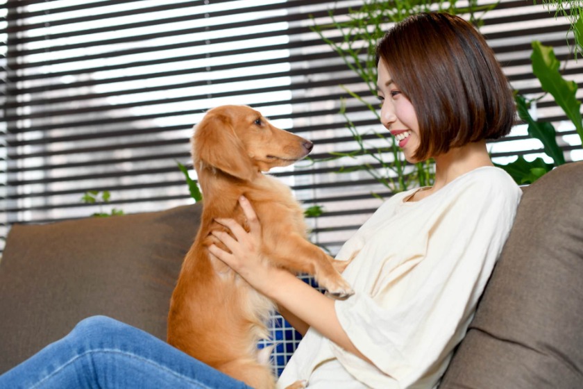 犬のニキビの正体や原因　まとめ