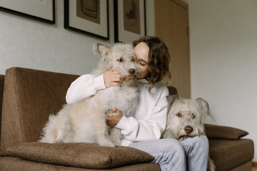 犬と人