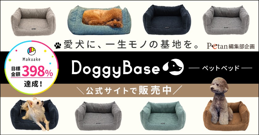 DoggyBase