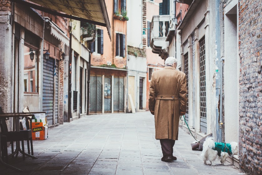 イタリアの犬