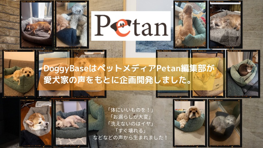 DoggyBase_Petan