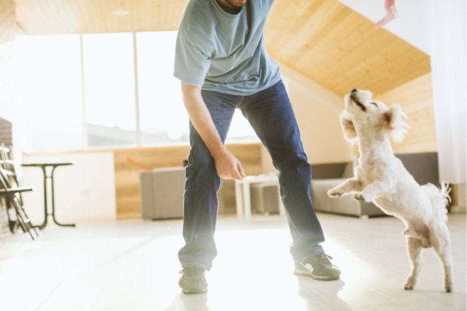 人と犬