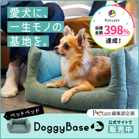 【petan編集部企画】ペットベッド「DoggyBaseとは？」