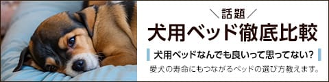 愛犬の寿命に繋がる！？犬用ベッド徹底比較　2024年最新版　床ずれの防止、腰の負担予防など愛犬の健康のために考え抜かれた犬用ベッドを徹底比較！