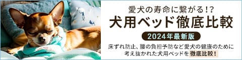 愛犬の寿命に繋がる！？犬用ベッド徹底比較　2024年最新版　床ずれの防止、腰の負担予防など愛犬の健康のために考え抜かれた犬用ベッドを徹底比較！